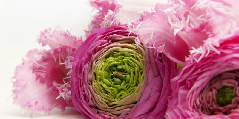 Mothers Day Flowers Southport