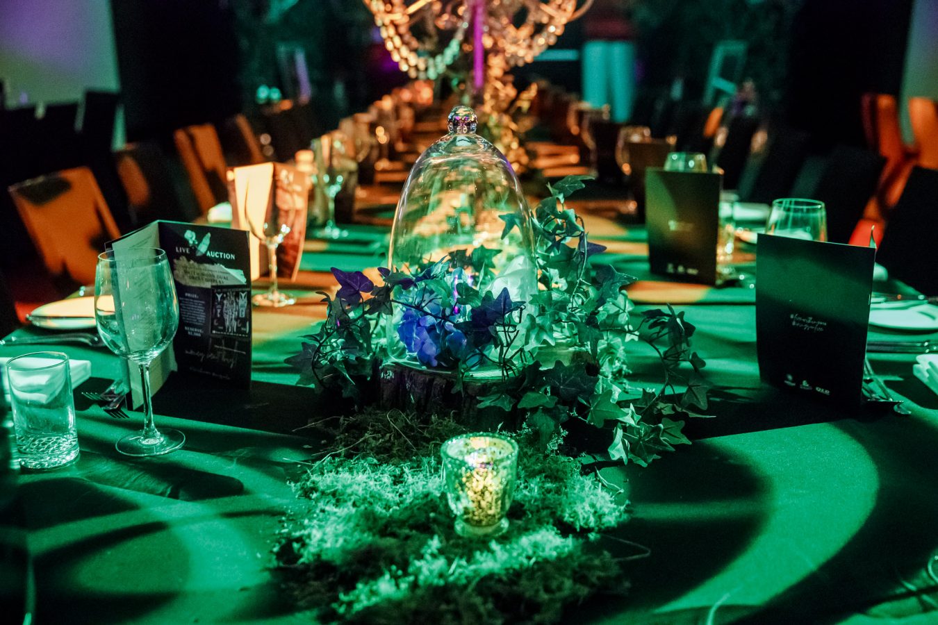 party styling Brisbane