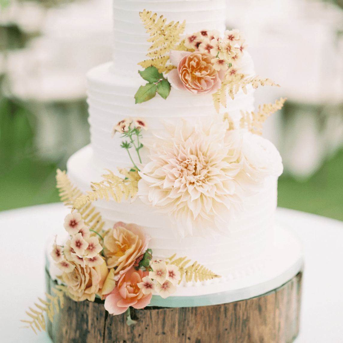 Best Cake Gold Coast