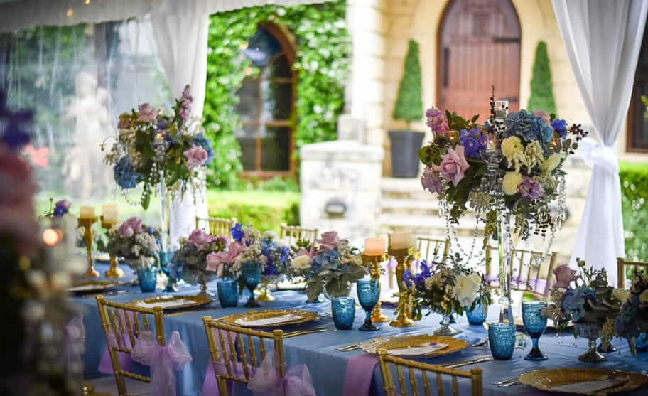 Party Event Planners